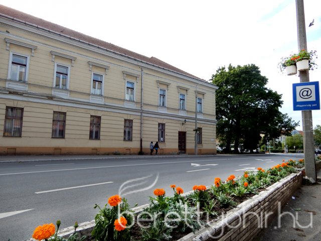 Virágos Berettyóújfalu 12